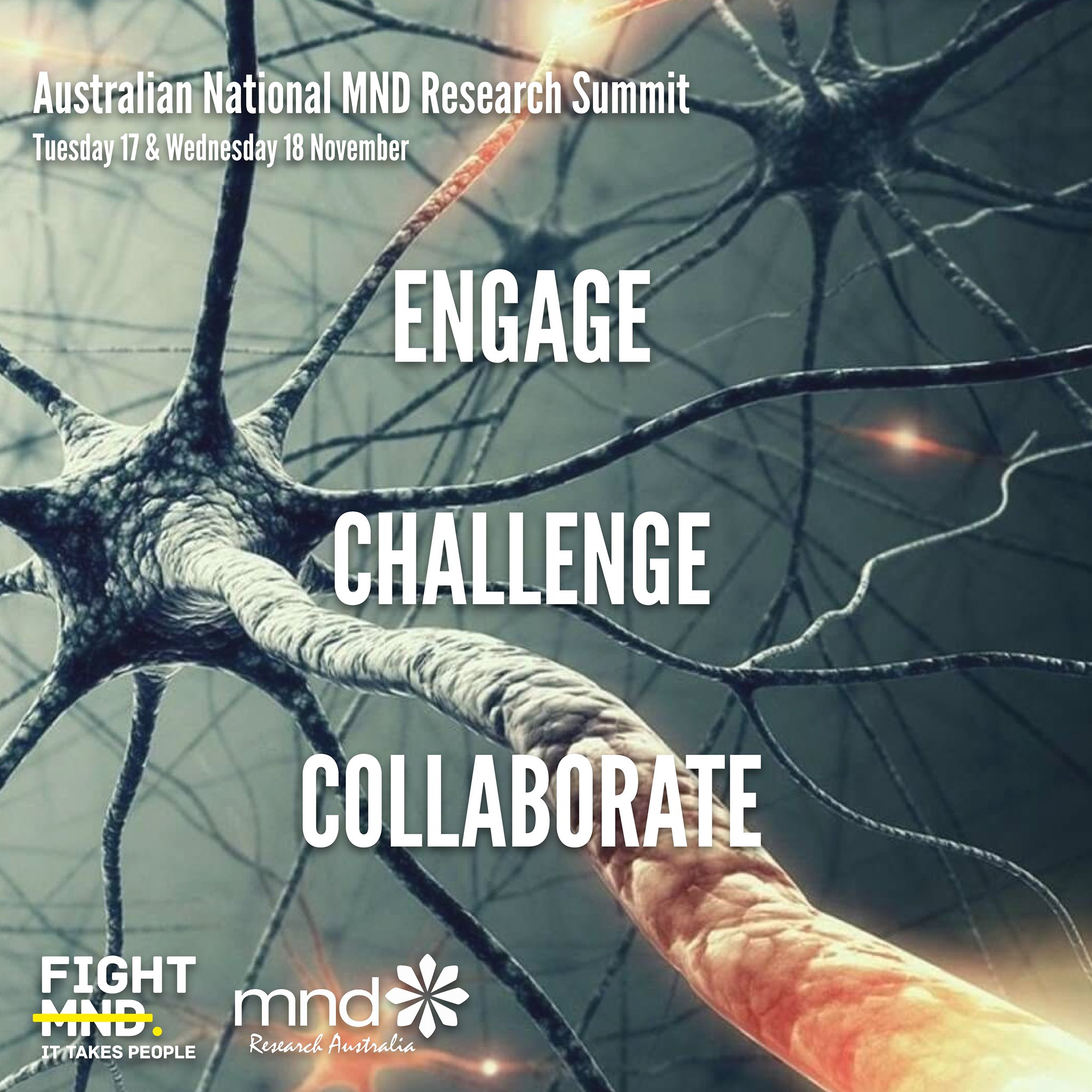 Fight MND - We are thrilled to announce that this week the...