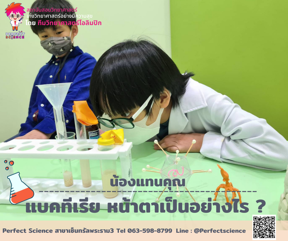 Perfect Science | Bangkok