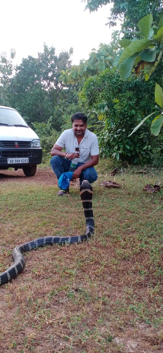 Snake rescue team