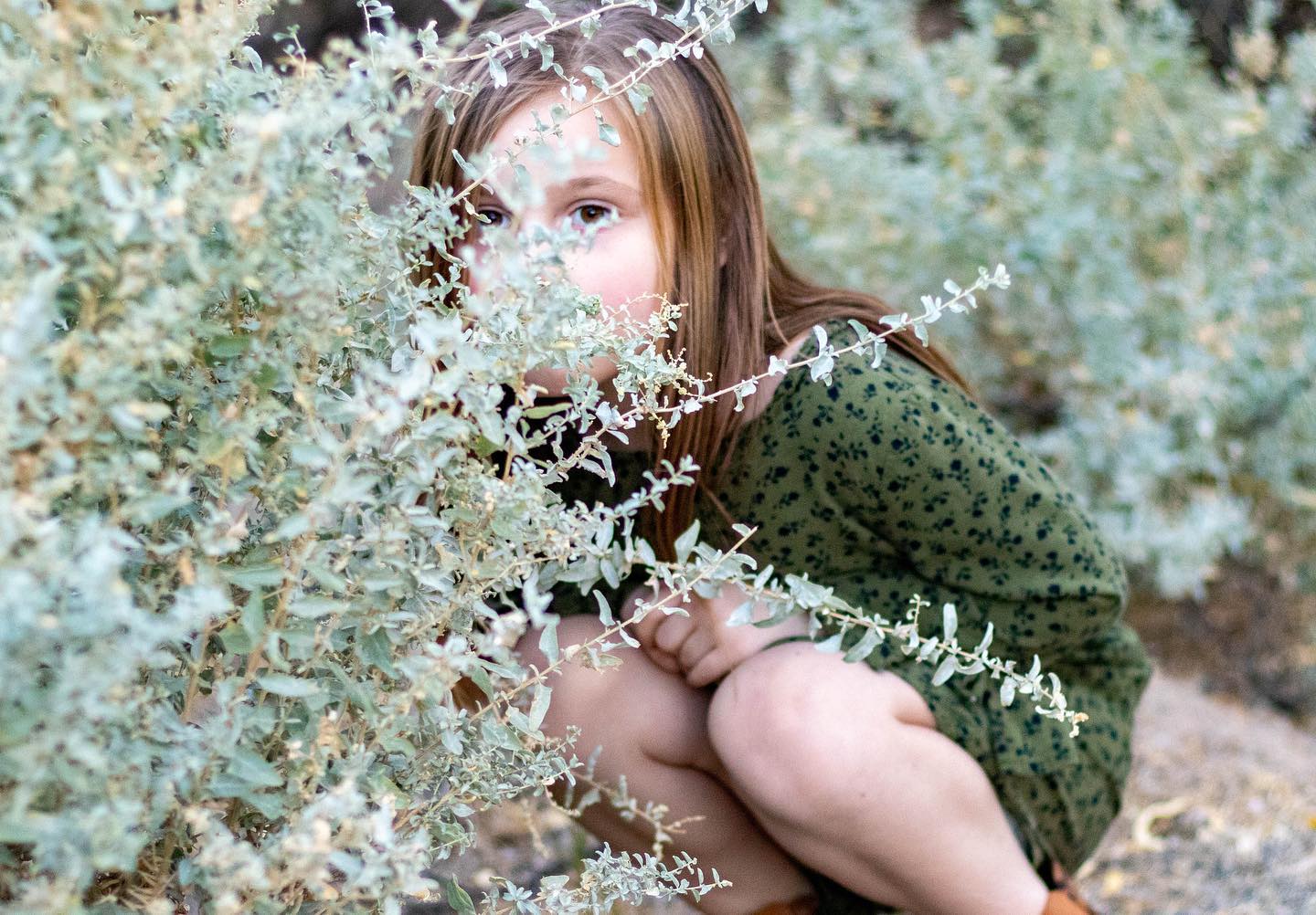 Lisa Prentice Photography
