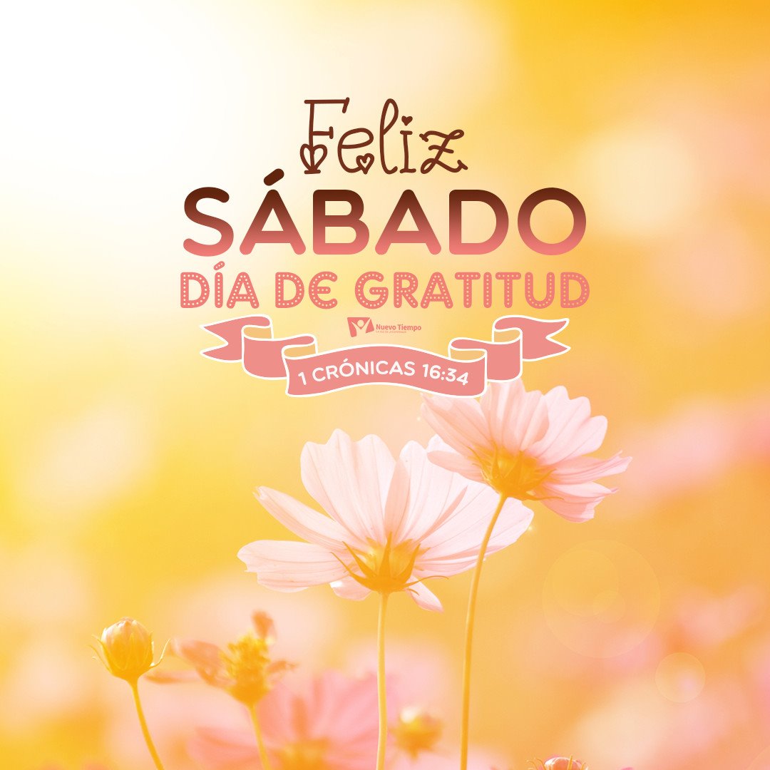 Imagenes De Un Lindo Sabado Feliz Sabado GIFs | Tenor