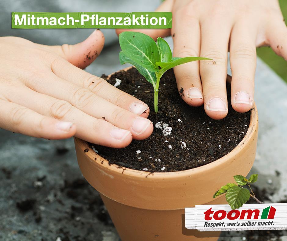 Toom Baumarkt Startseite Facebook