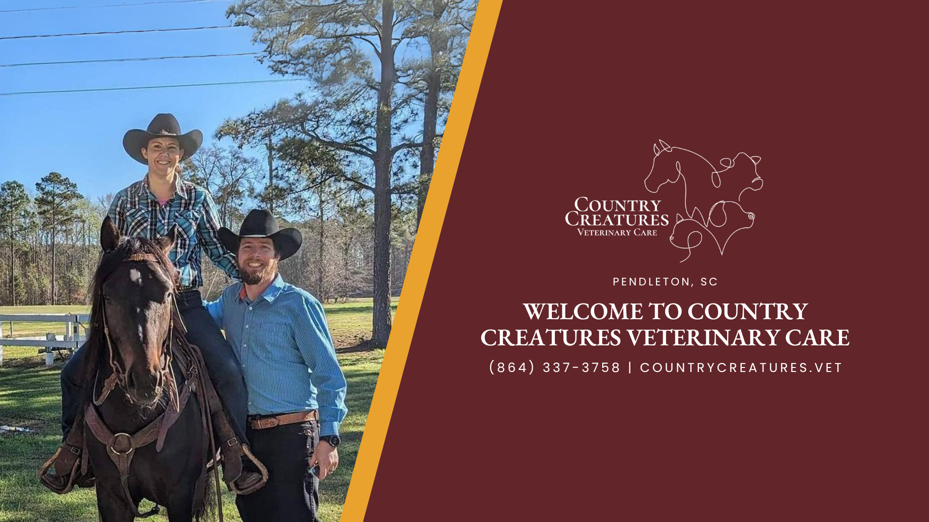 Country Creatures Veterinary Care | Pendleton SC