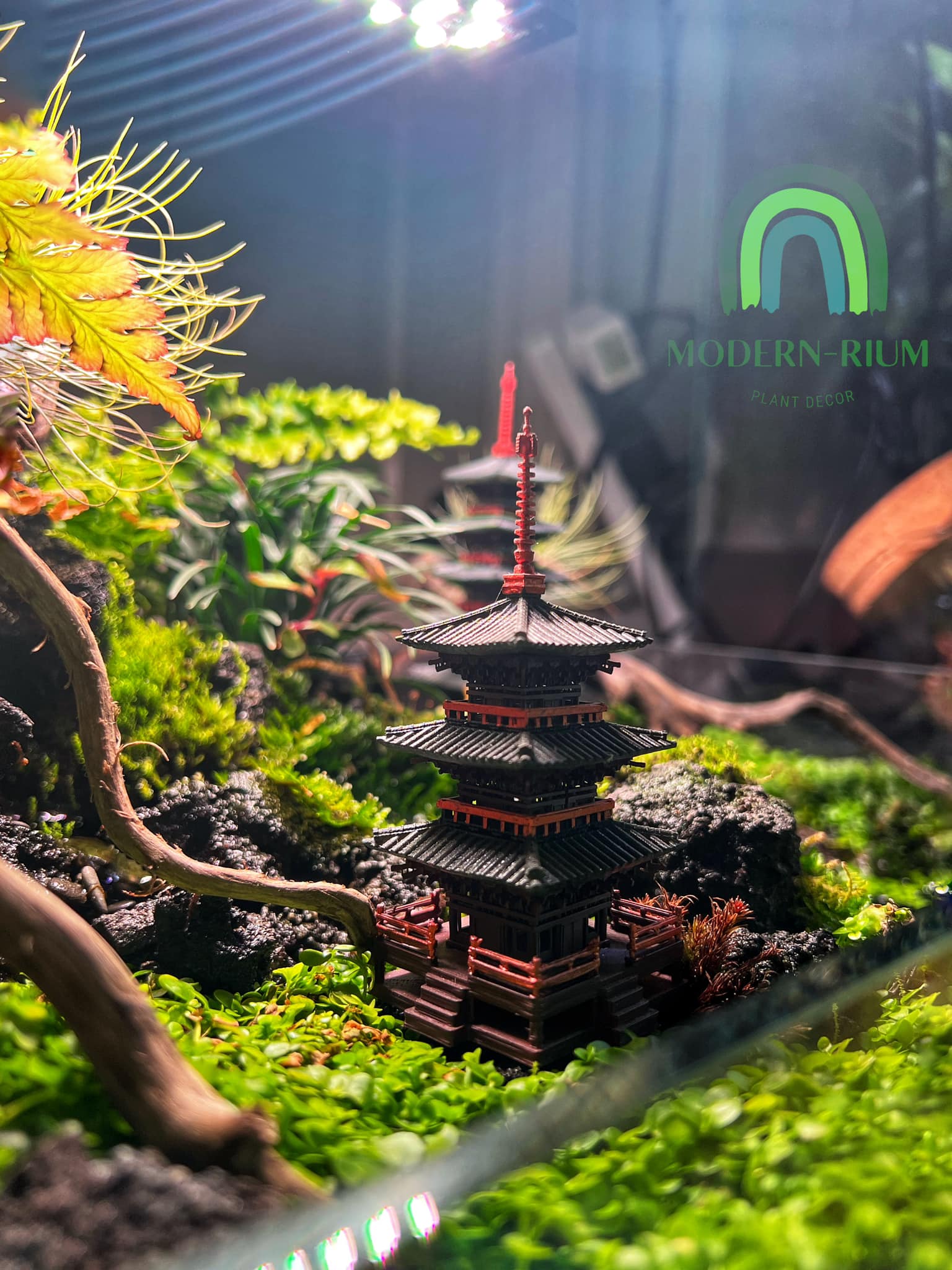 Modern-rium - Old Japanese Pagodas. What a vibe!