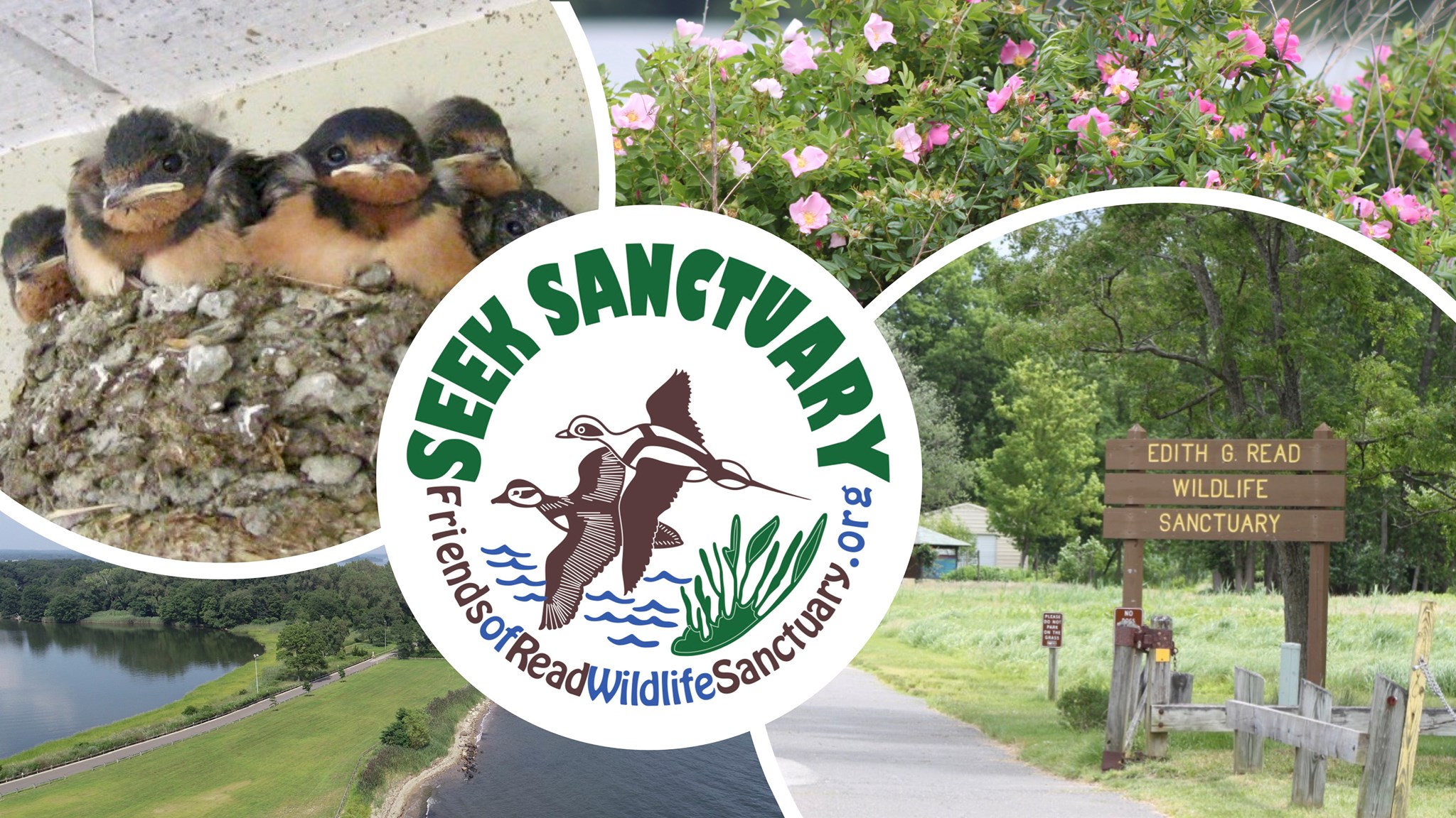 OUR PHOTO... - Edith G. Read Wildlife Sanctuary, Rye NY | Facebook