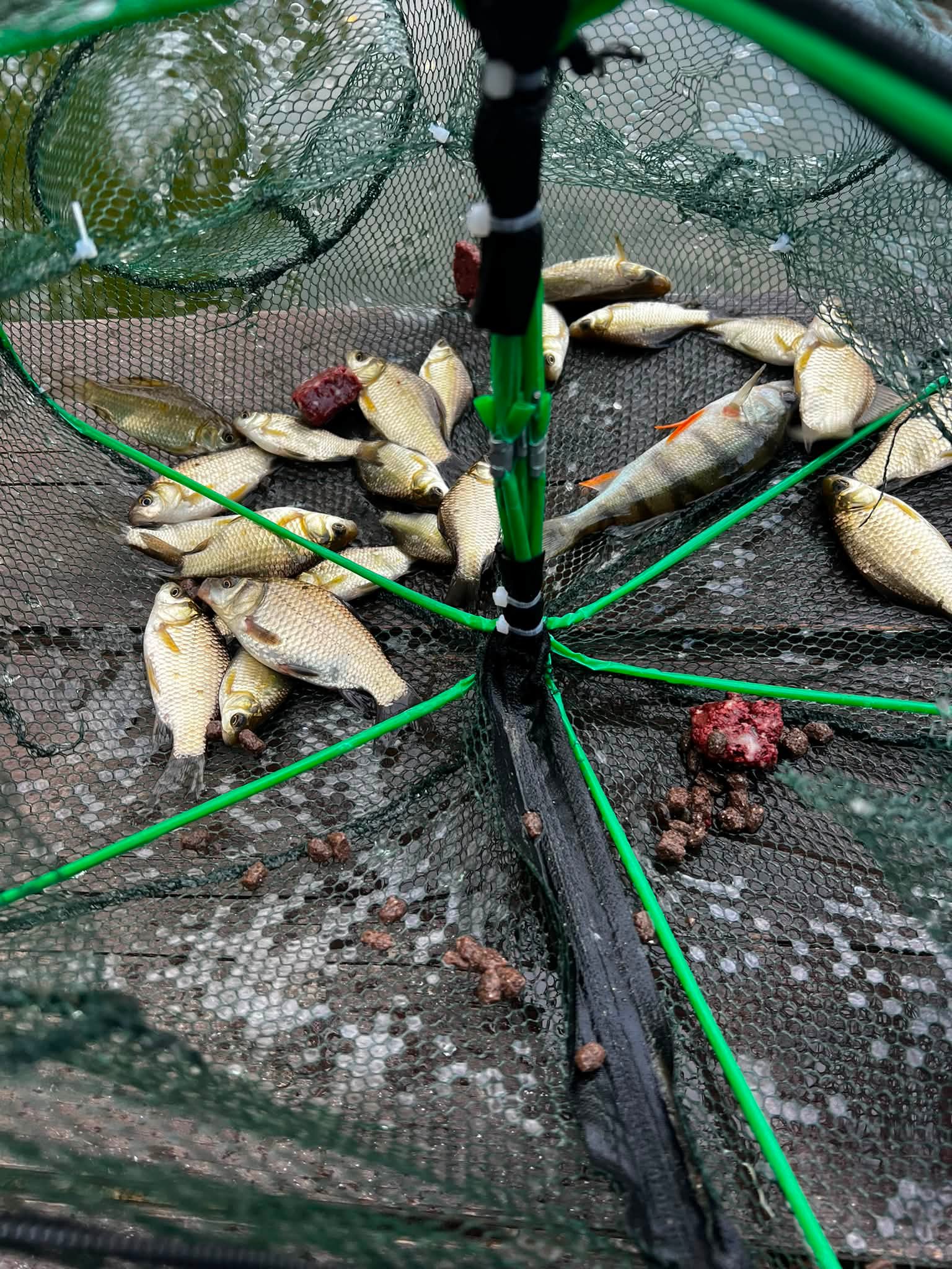danube river fishing nets NIRVANA Folding Damo 25cm Creek Net w/Rubber Coated Netting  DRAGONtail Tenkara Daubel Hut at Danube River