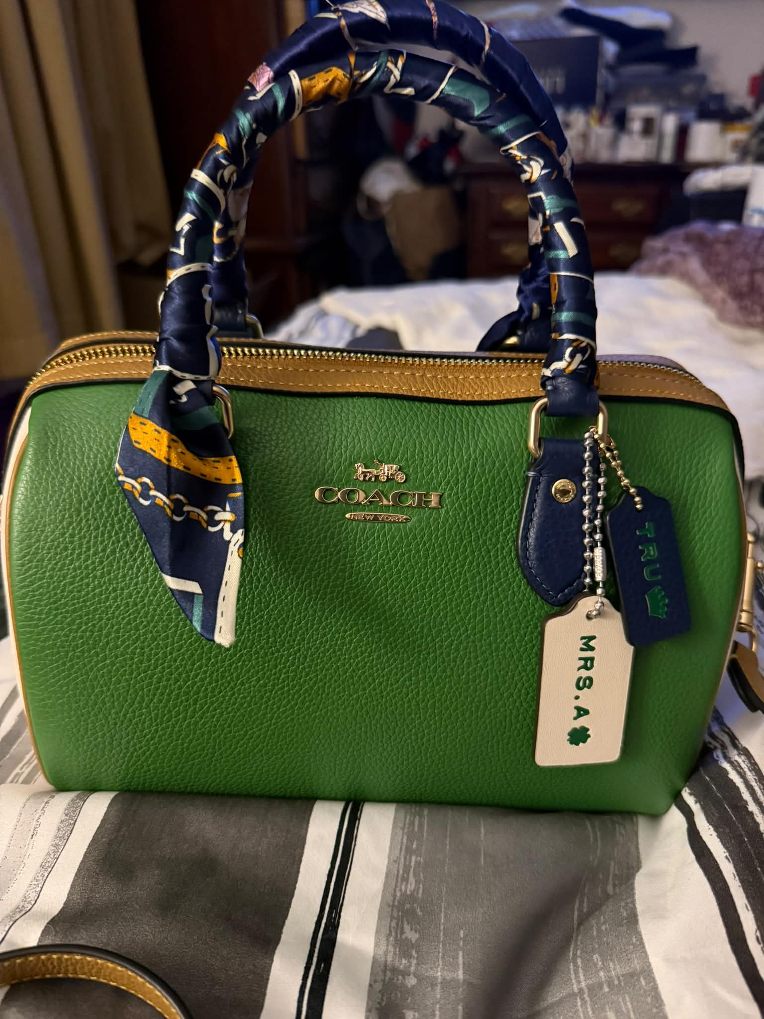 Meet Tru, my new green Coach handbag