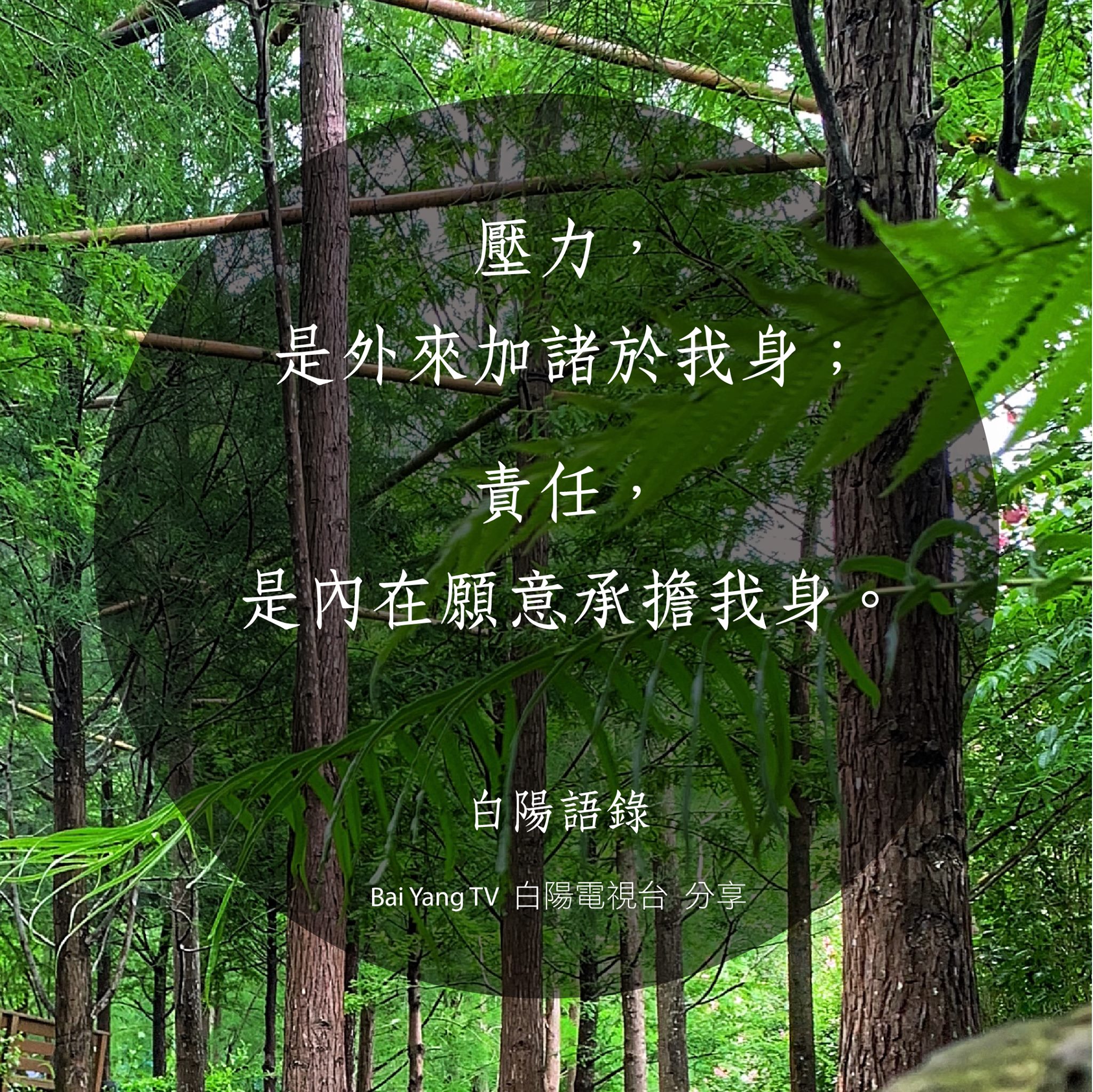 白陽電視台 - 【白陽語錄】 壓力，是外來加諸於我身； 責任，是內在願意承擔我身。 歡迎訂閱《 白陽電視TV... | Facebook