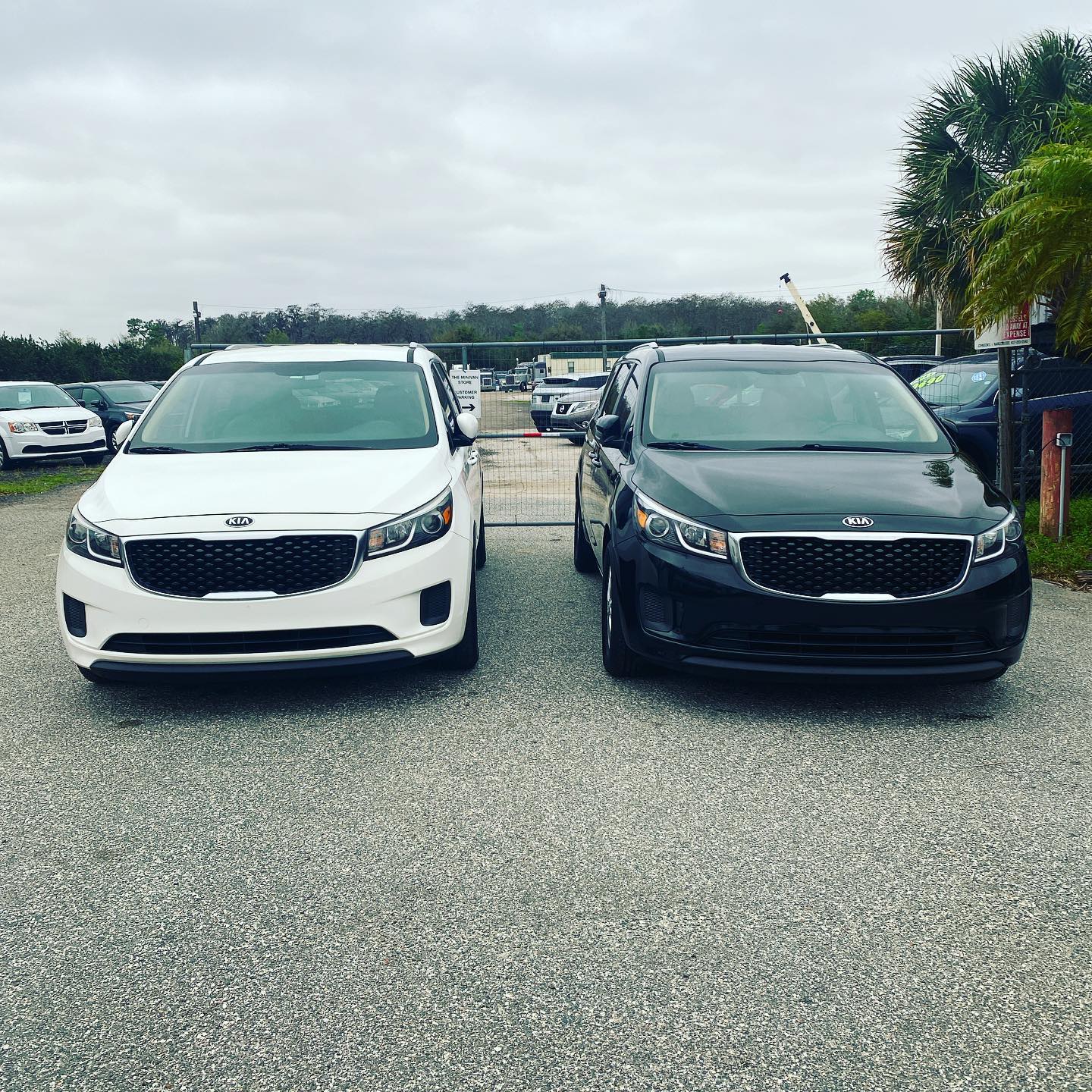 Prime Rental Car | Orlando FL