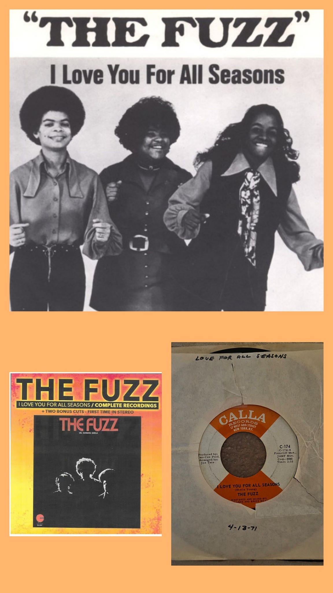 The Fuzz - I Love You for All Seasons 1971 record