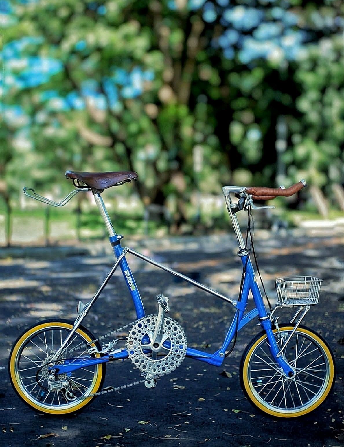 1985 Bridgestone One Touch Picnica