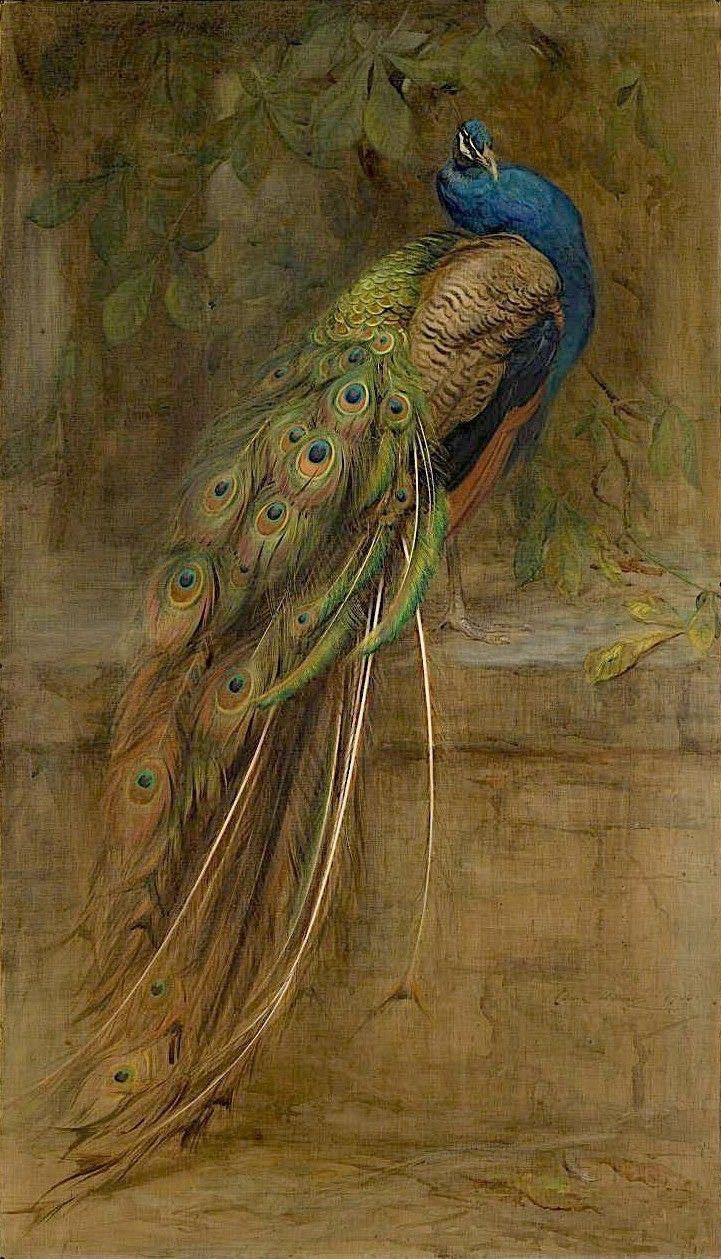 J. Hardy, 'Lady with peacock', etching and aquatint with hand