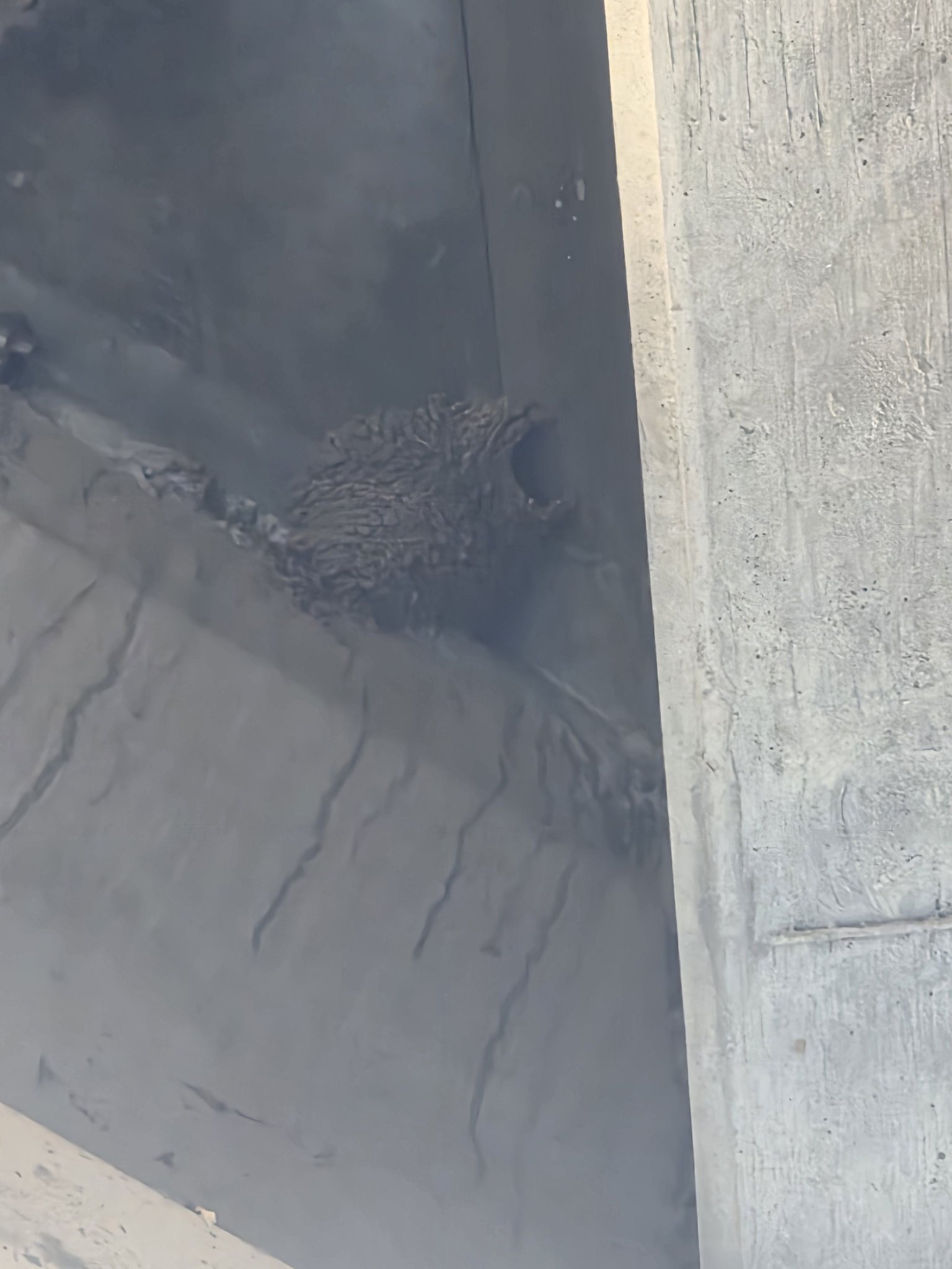 UN —under nest— What creature inhabits this hive-like nest under a Tucson bridge?