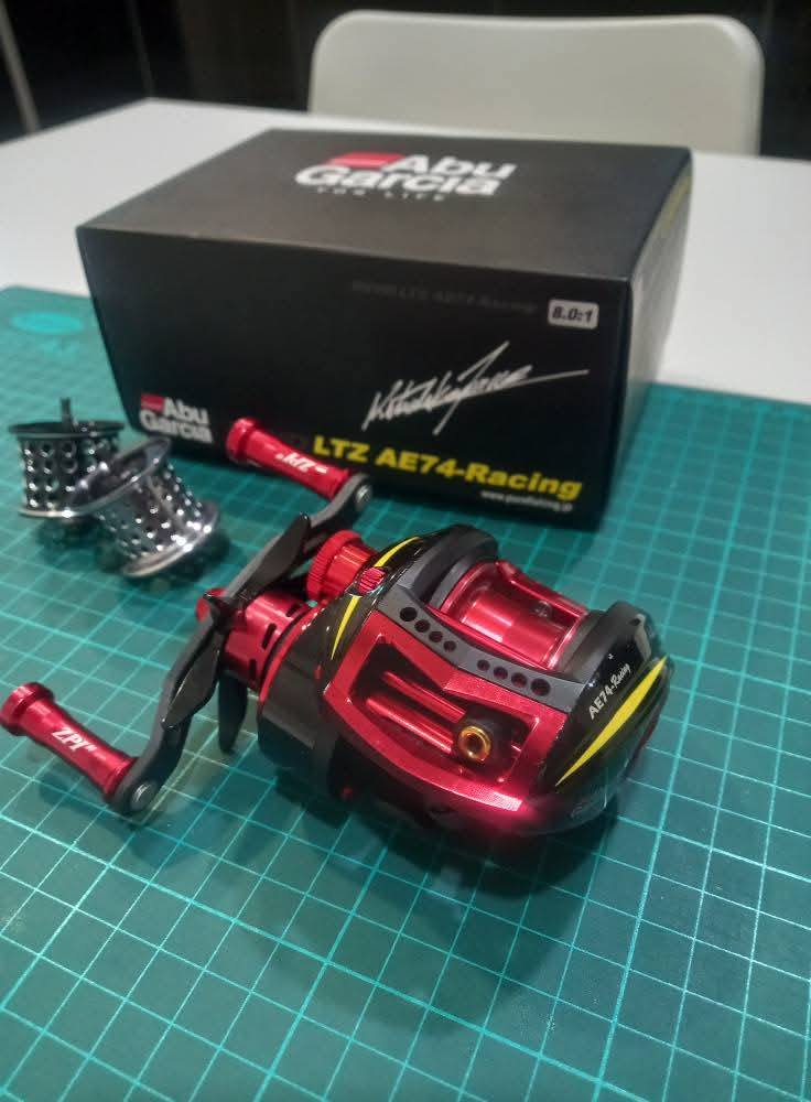 ABU GARCIA HORNET KILLER BEE