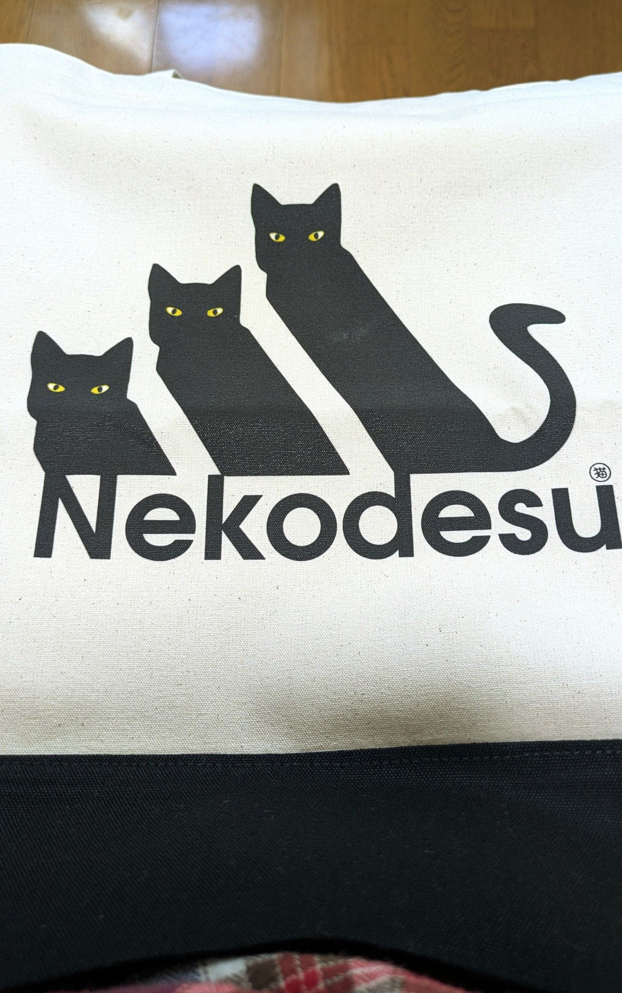 猫ですが、可愛いです。アディダスじゃなくて猫です。面白いロゴ娘夫妻