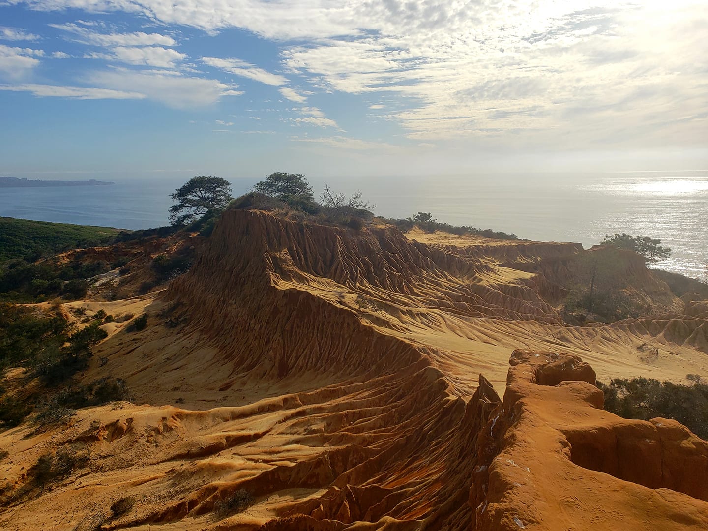 Hiking trail at Torrey Pines State Preserve