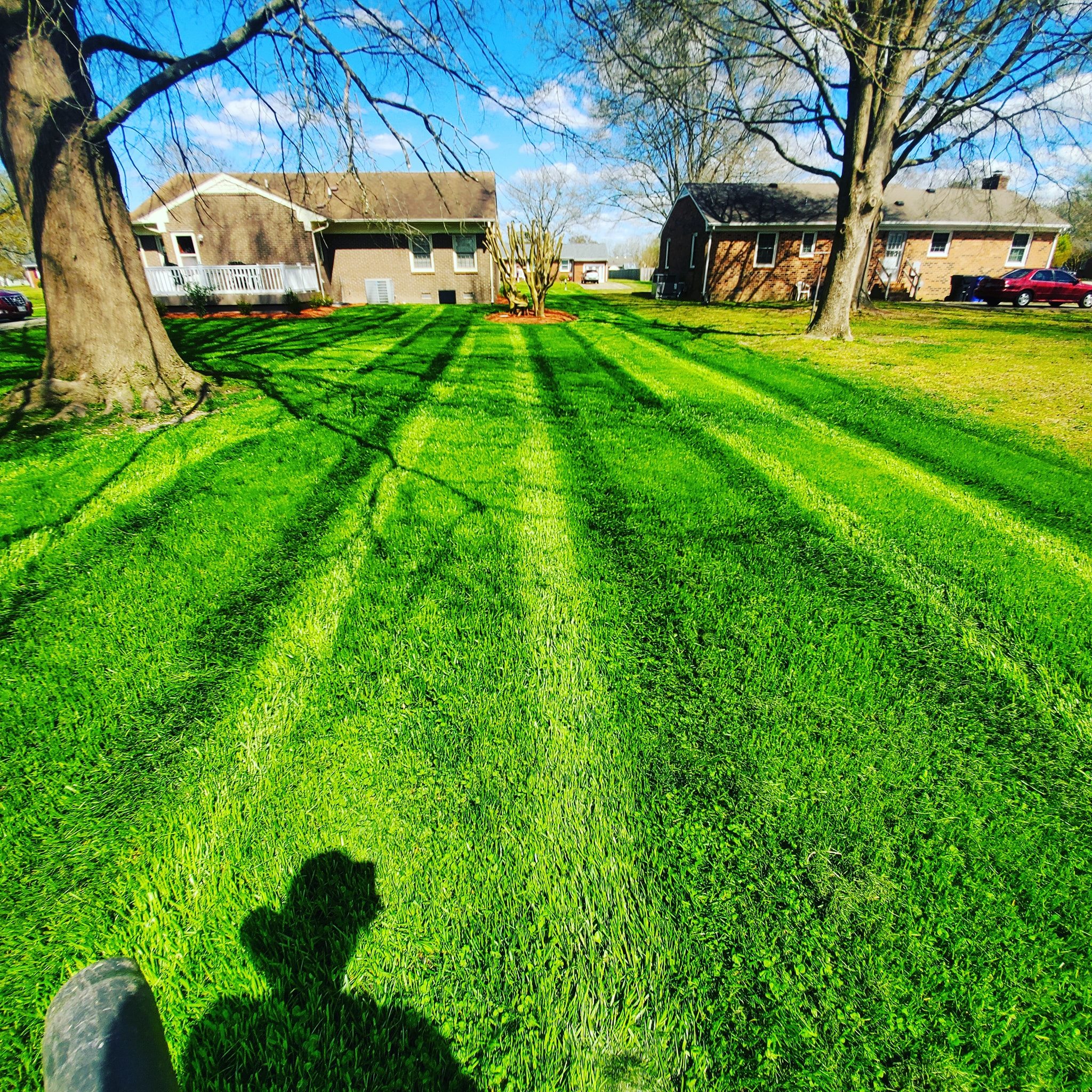On the right is a normal yard.... - Davis Landscape & Design