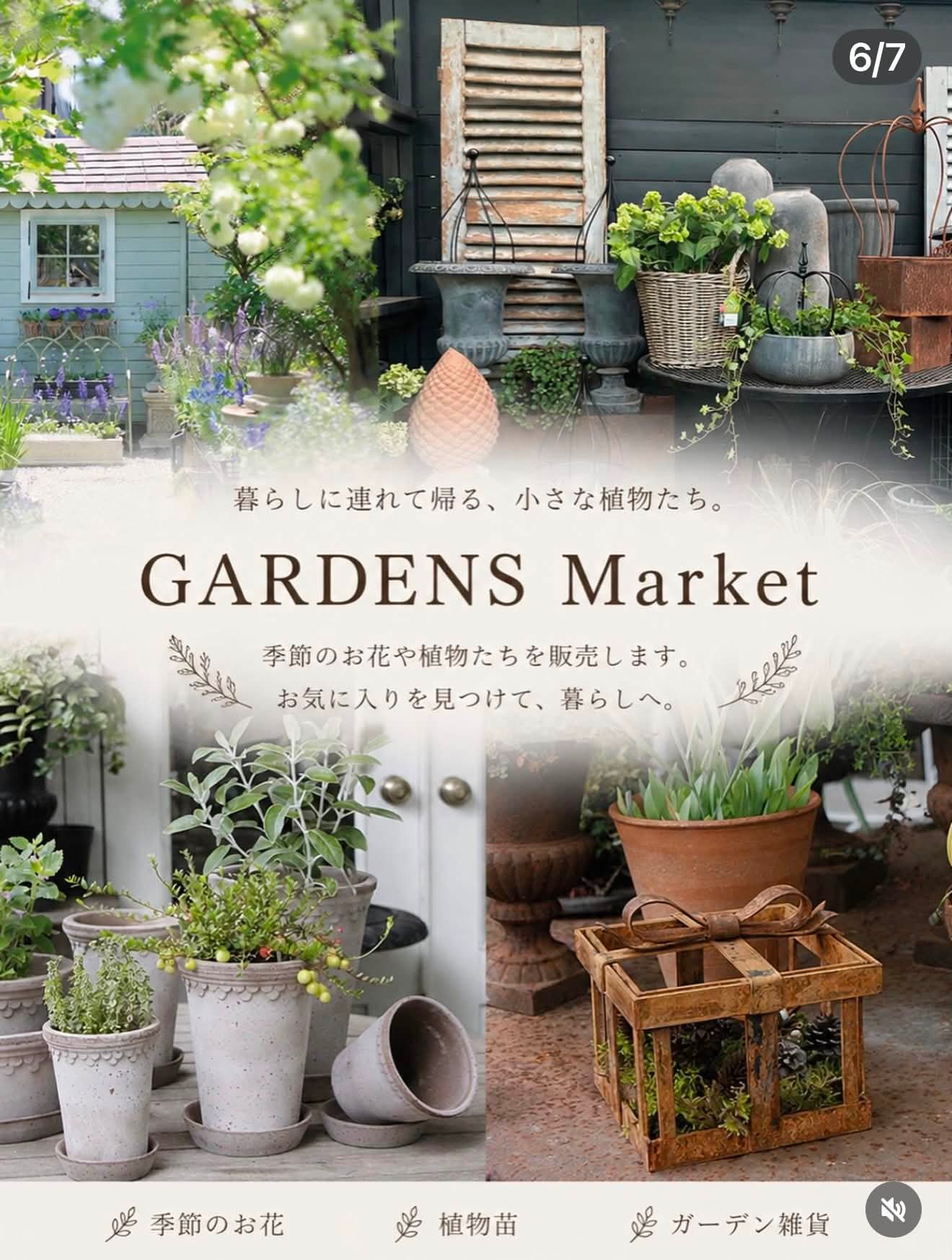 2026.3.15（日） 神戸では初めての 『春の花遊びとすみれのお茶会』を