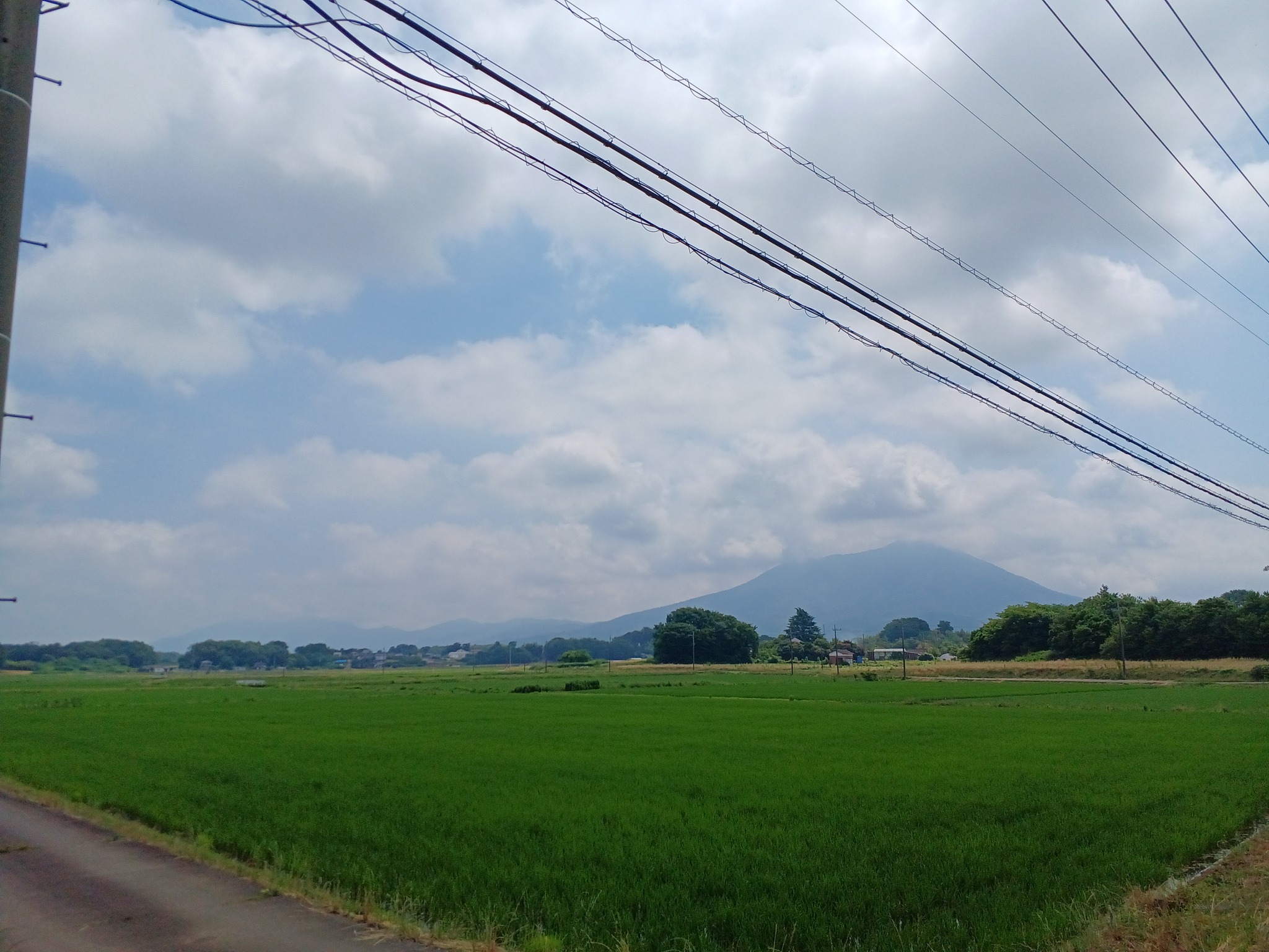 風景の写真ではないので､このグループの意図とは違うかもしれませんが 