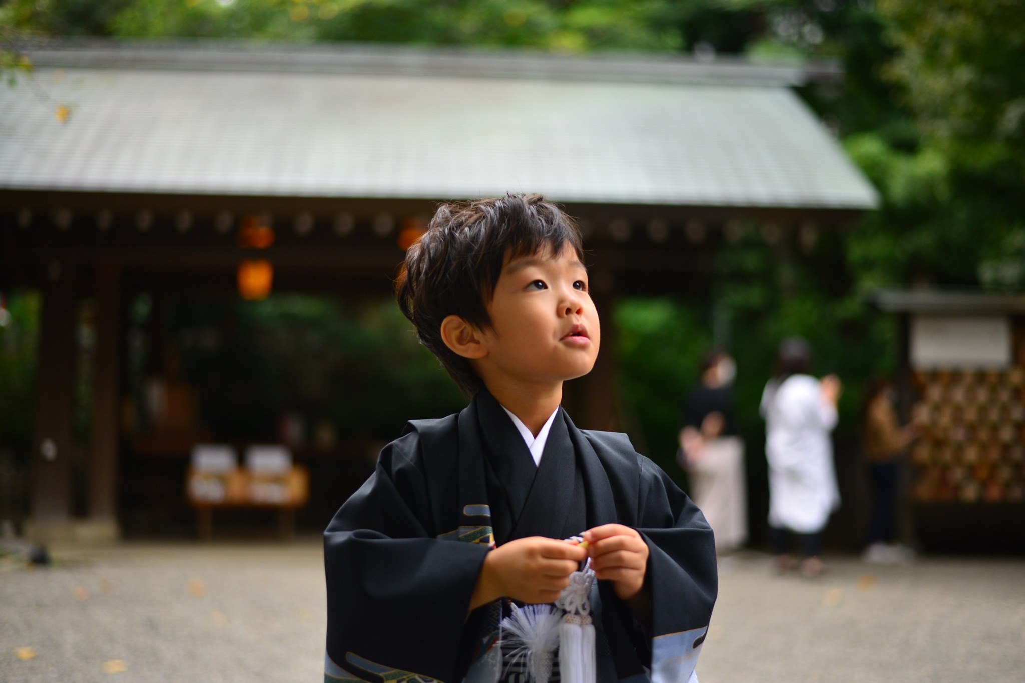 乃木神社 紅く染まりはじめた木々と 頬を紅潮させた子どもたちのはにかんだ笑顔が境内を彩ります Facebook