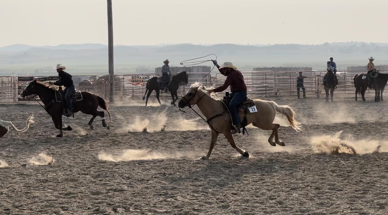 Royce Ranch... - Royce Ranch Foundation Quarter Horses
