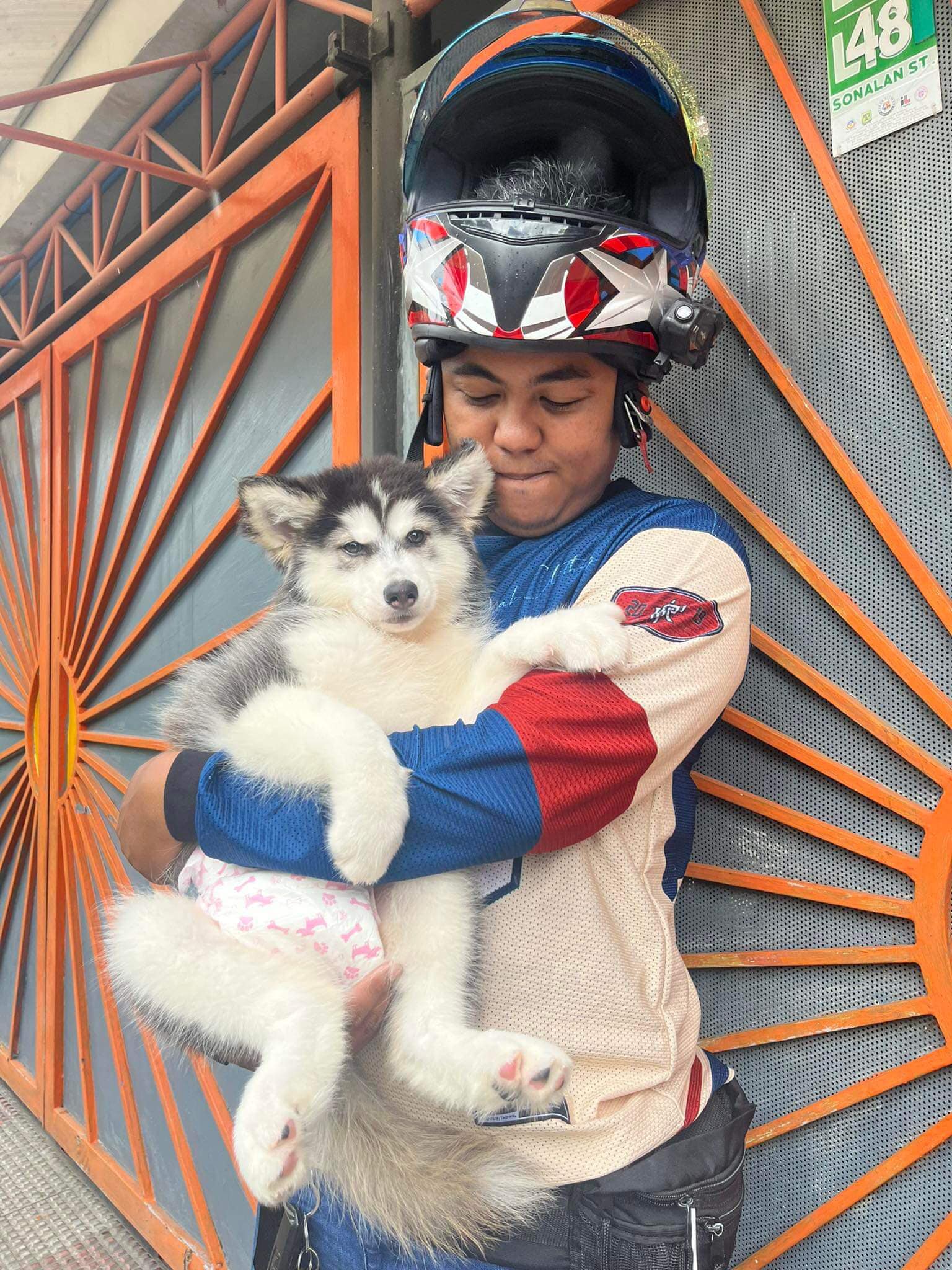 Beastar Wolf PH | Taguig