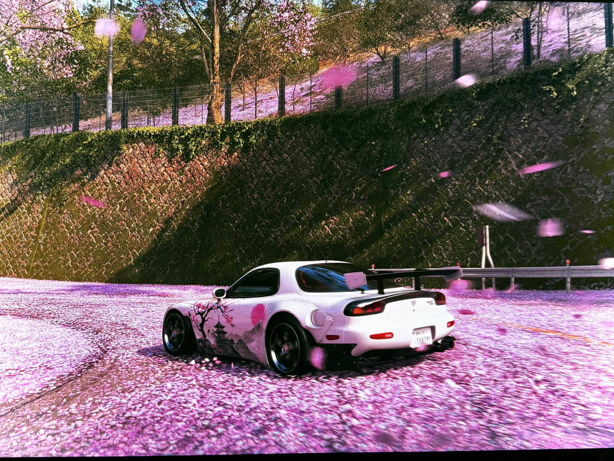 Mazda RX-7 drift car in cherry blossom season