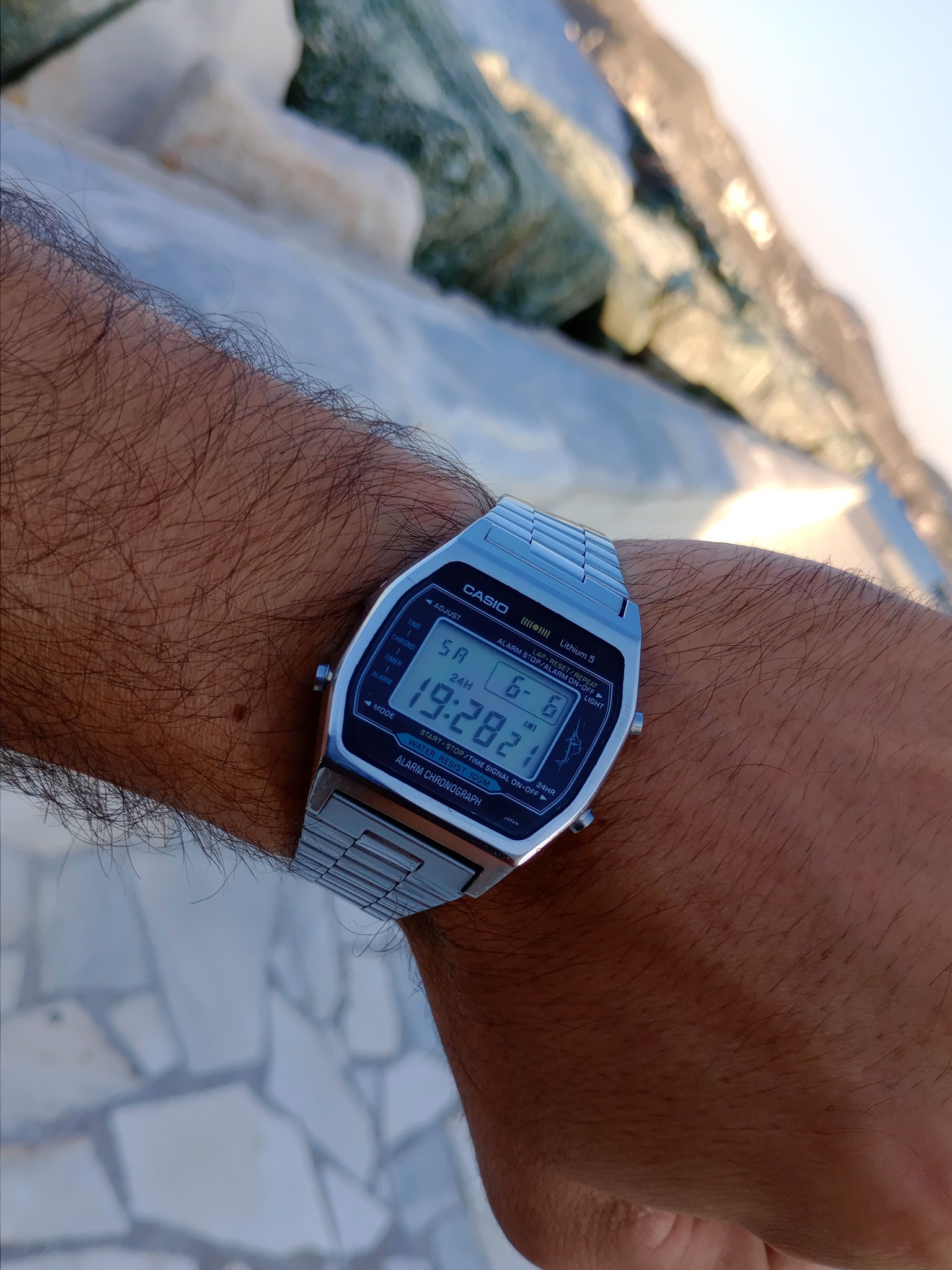 Casio Marlin watch collection including 1980 model