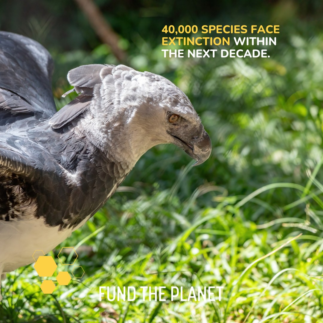 FUND THE PLANET - Over 40,000 species face extinction in...