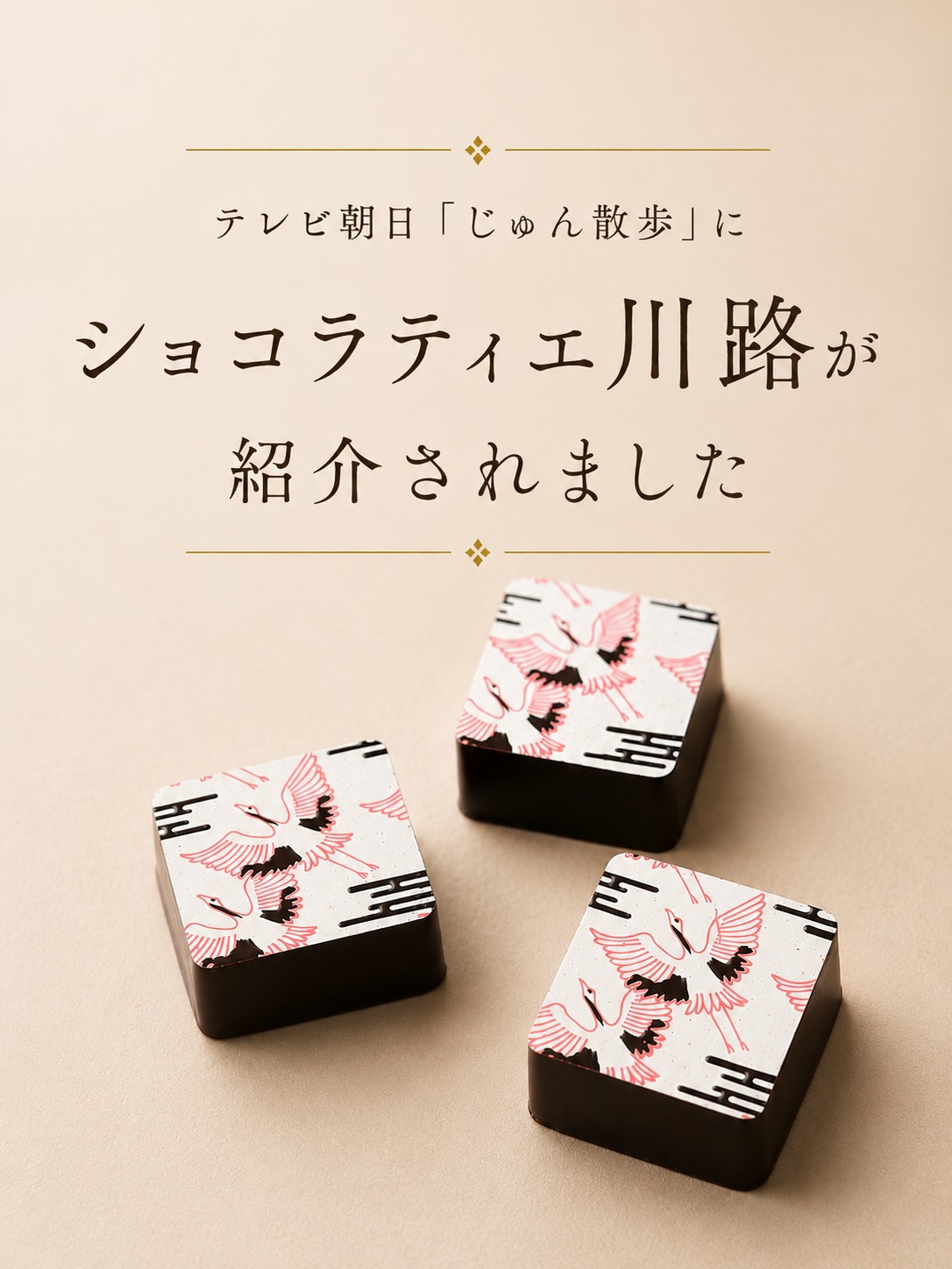 Satomi -  ZIP！「街録ZIP！リアルレビュー」に出演しました  テーマは