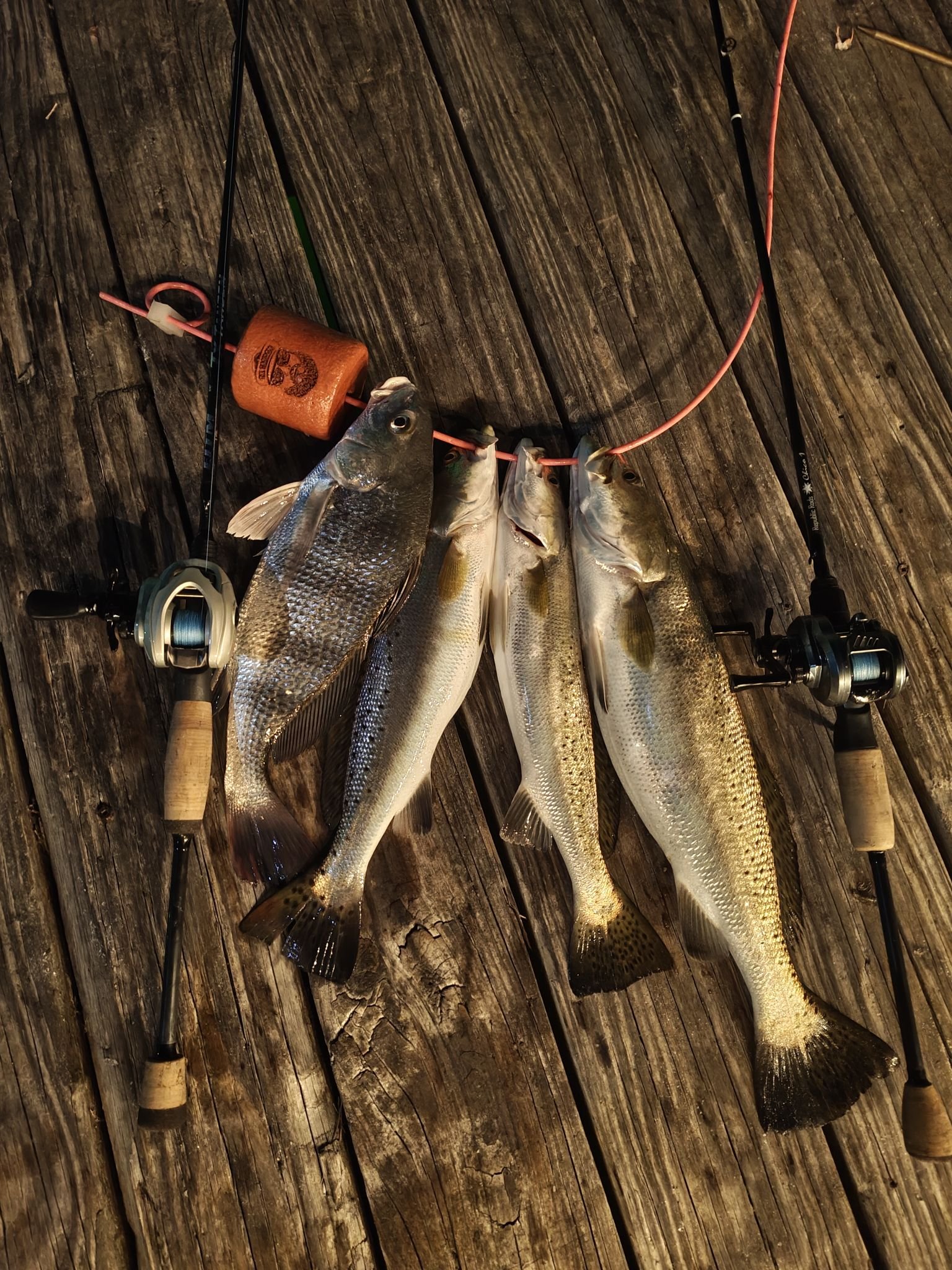 2018 daiwa saltist STTLW40HB LW Levelwind Conventional Reel Top Lures for Pike reverse system to prevent jigging-world Model:STTLW30HA