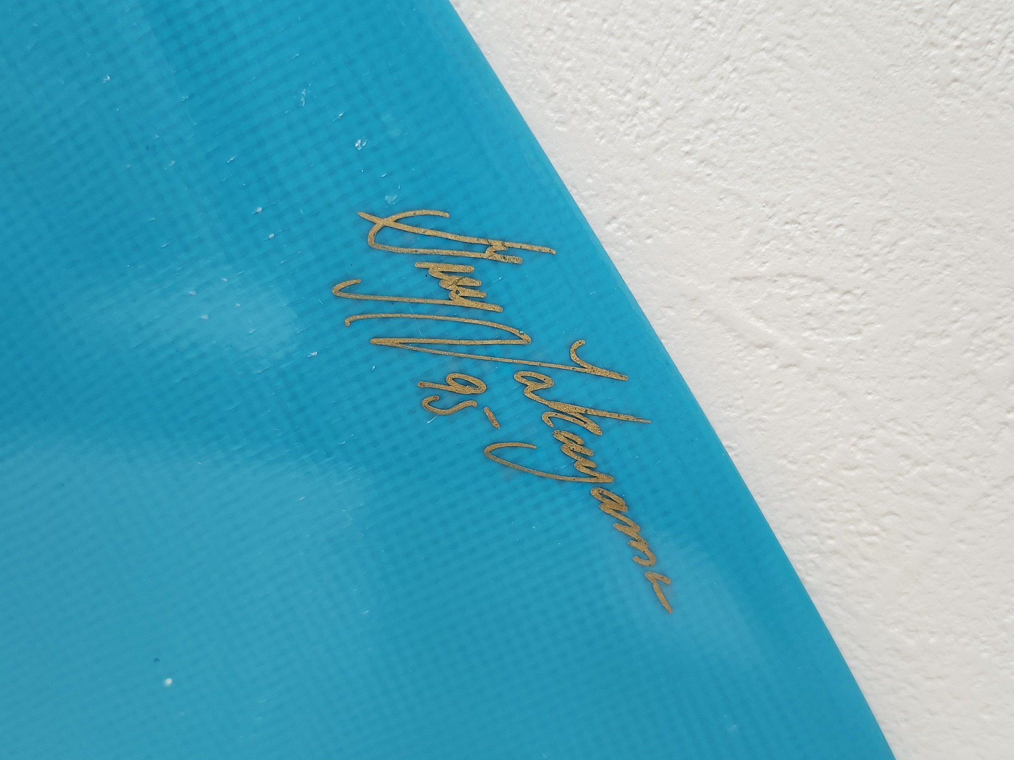 Guy Takayama's rare GT Manta fin collection