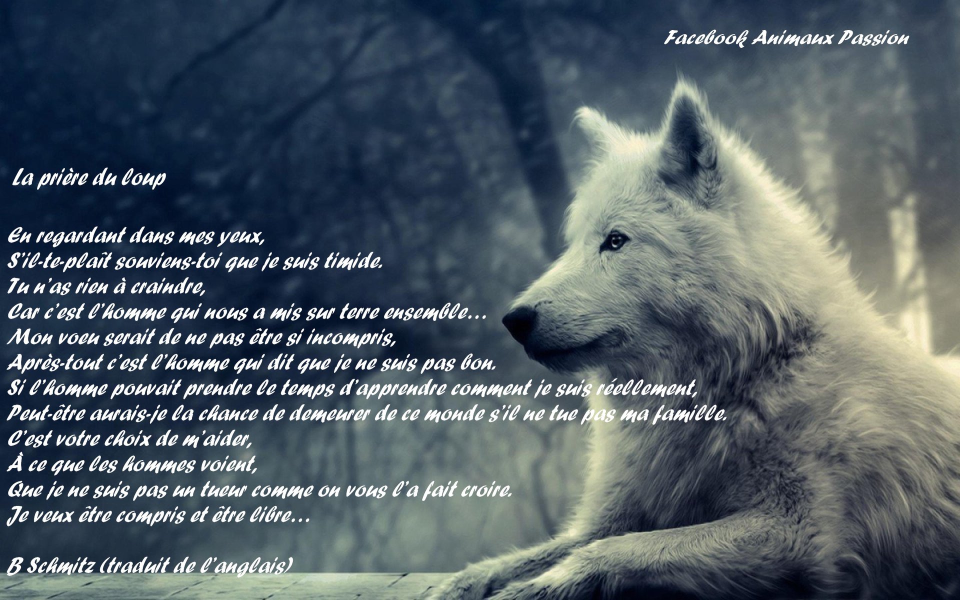 Comment On Dit Loup En Anglais