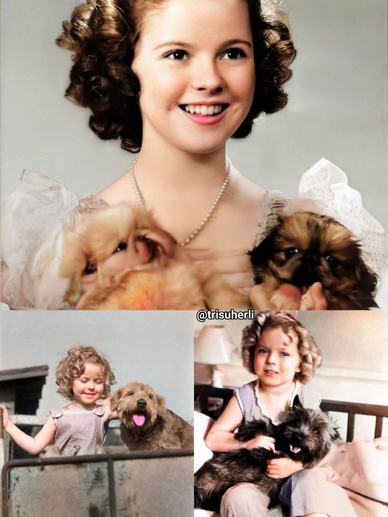 Shirley Temple and her Teddy Bear 🧸 ❤️