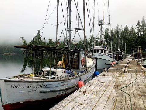 Port Protection Alaska | Facebook