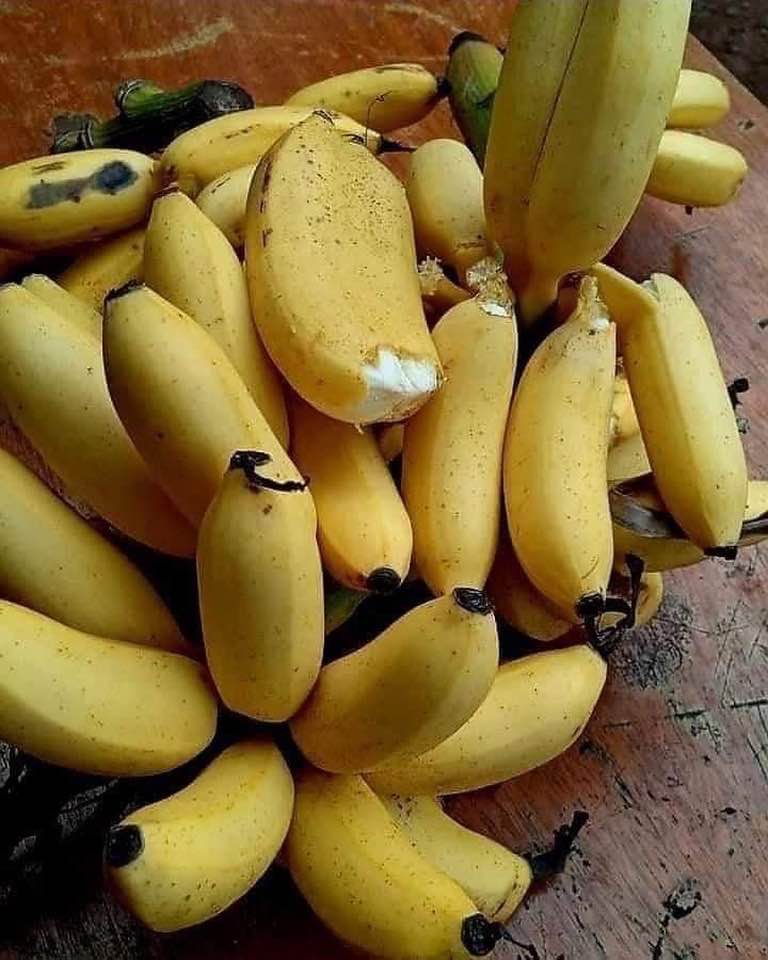 Abigail Fuentes - 🍌 Beneficios de los guineos manzanos 1.... | Facebook