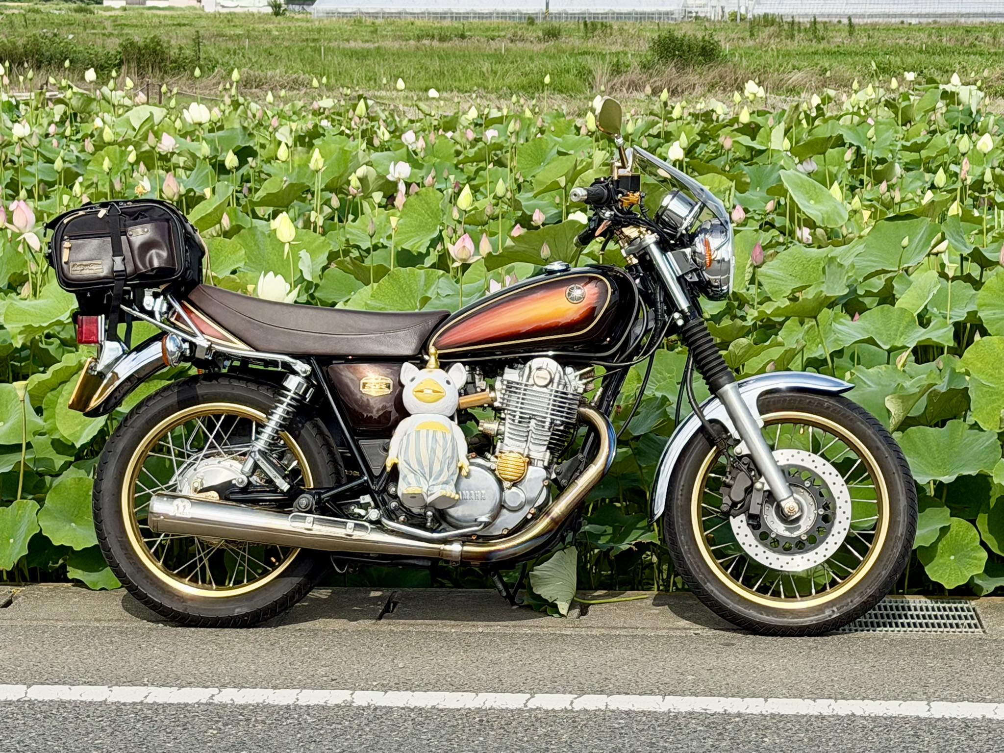 SR500最終型にドノーマルで乗っています。 よろしくお願いします。