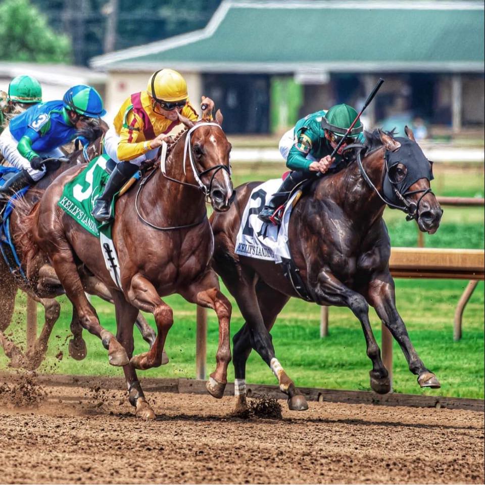 Greg Foley Racing Stable