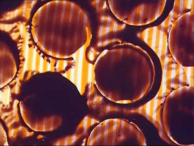 What does experimental animation... - Animation Resources | Facebook