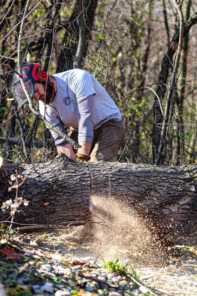 Matt’s Tree Services