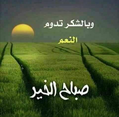 شيلة مليت من غربتي وانا با سما البحرين كلمات عبد الناصر المعرشي اداء ابو حنظله تحميل Download Mp4 Mp3