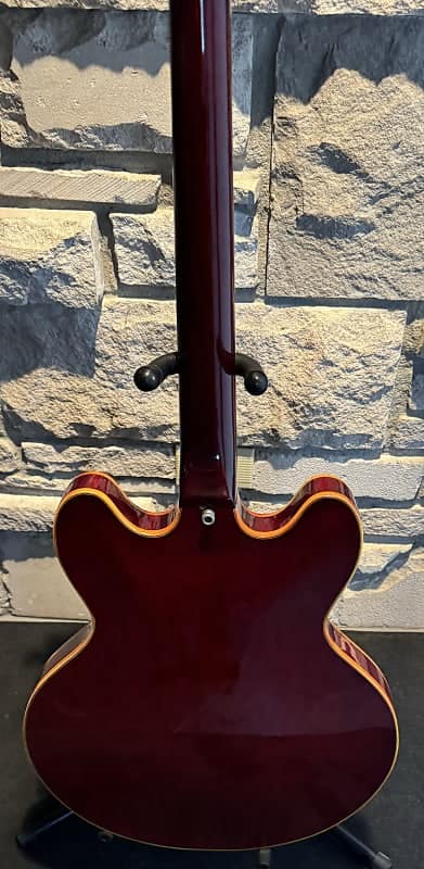 Does anybody have an Aria Pro II ES-800 guitar?