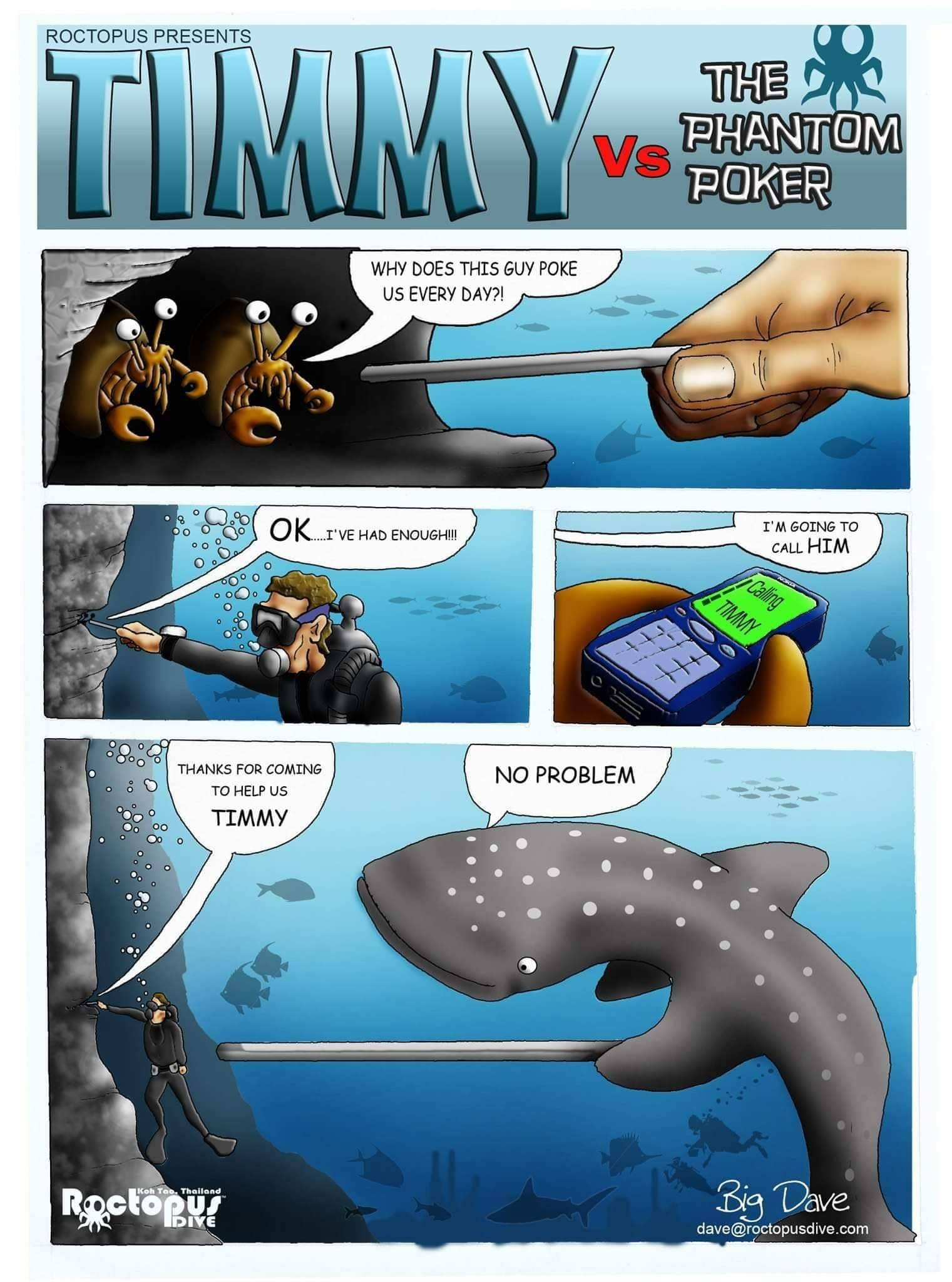 มาเลิกใช้ Pointer... - Dive Ranger สอนดำน้ำ ทริปดำน้ำ กระบี่ | Facebook