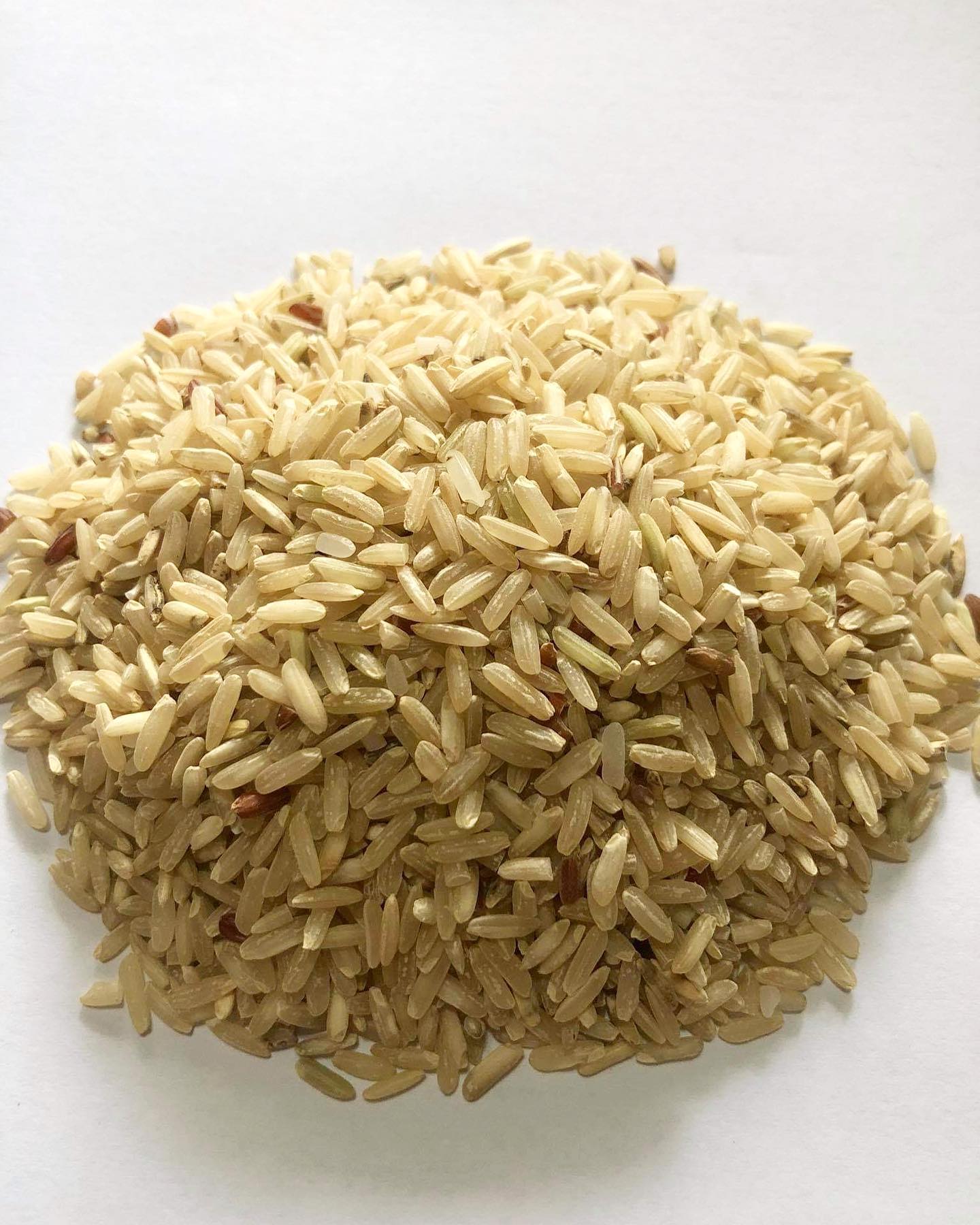 We Rice PH | Las Piñas