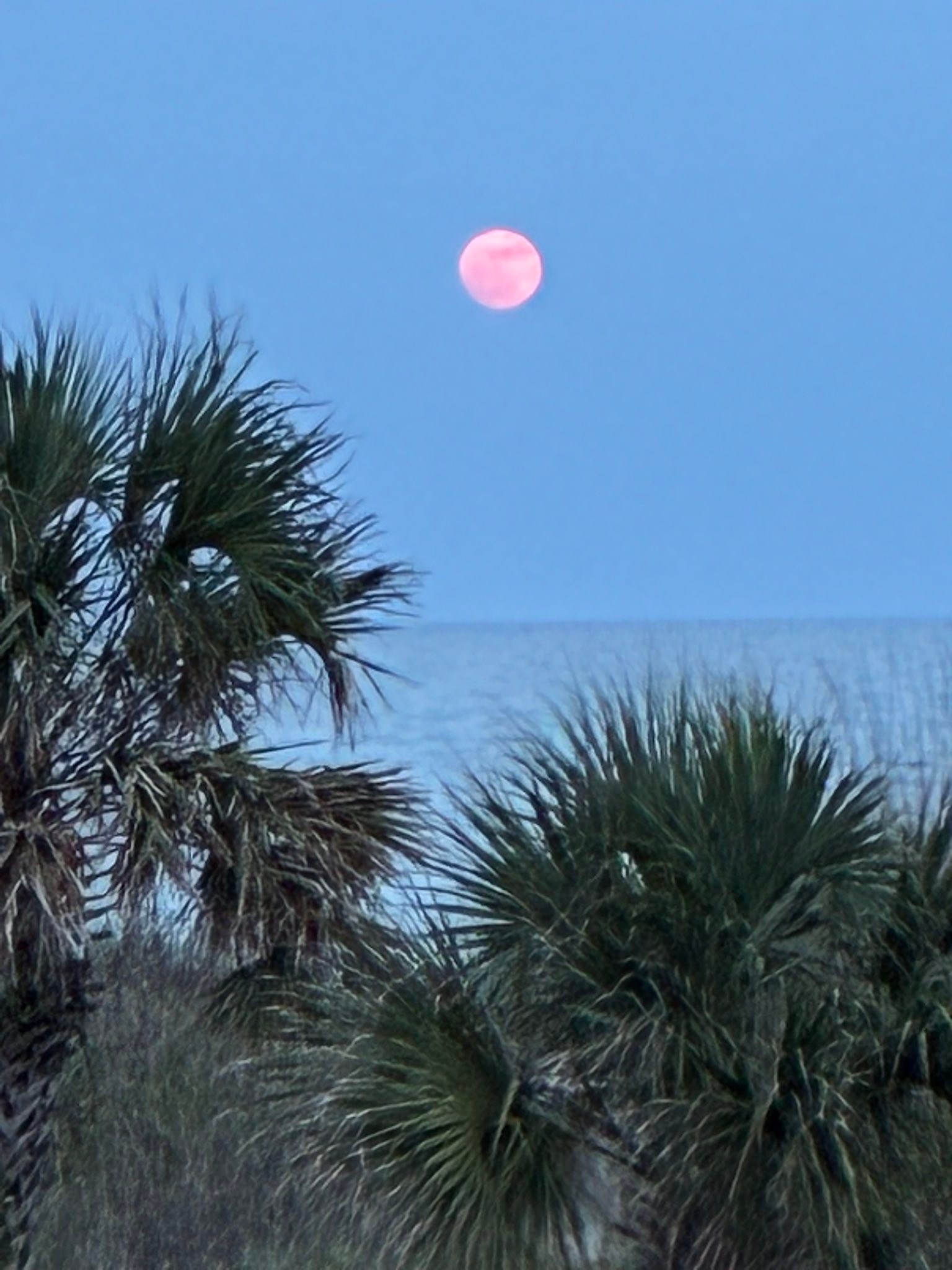 Blue moon tonight!! (Meaning two full moons in the same month)