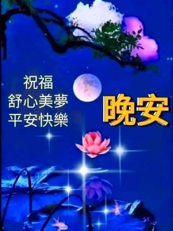 嗨～你好！早安 午安 晚安美圖分享 | 🌺#朋友們週末晚安舒心好眠🌺 | Facebook