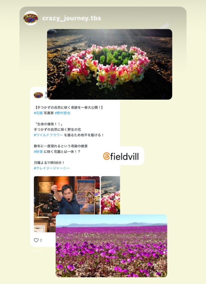 インスタのストーリーズが送られてきました。 「手つかずの自然に咲く