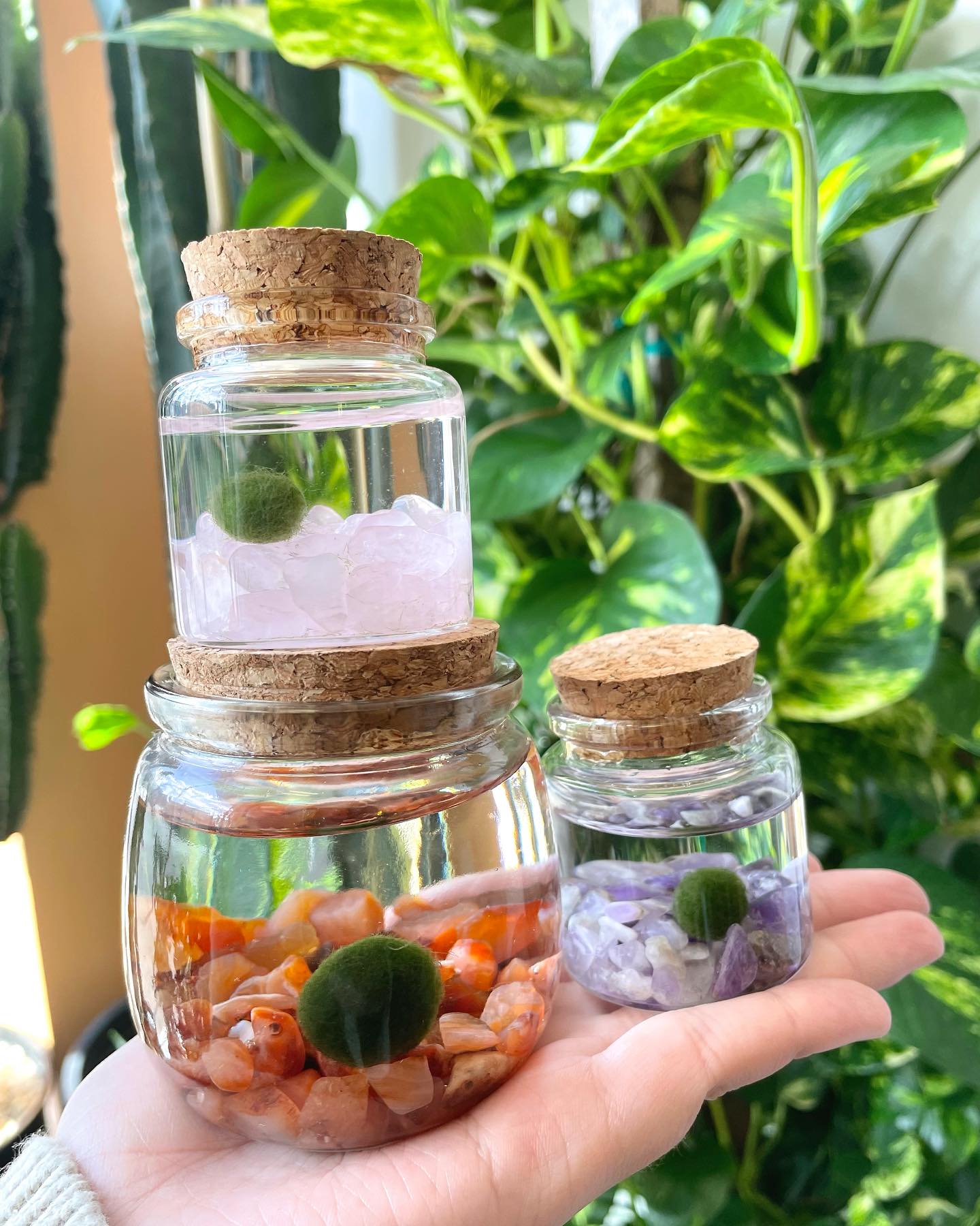 💚 まりもの雫 Marimo no Shizuku — Marimo Droplet I've created my