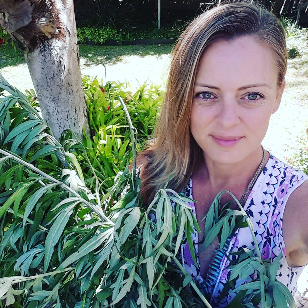 When a plant spirit is keen to work... - The Sister Circles