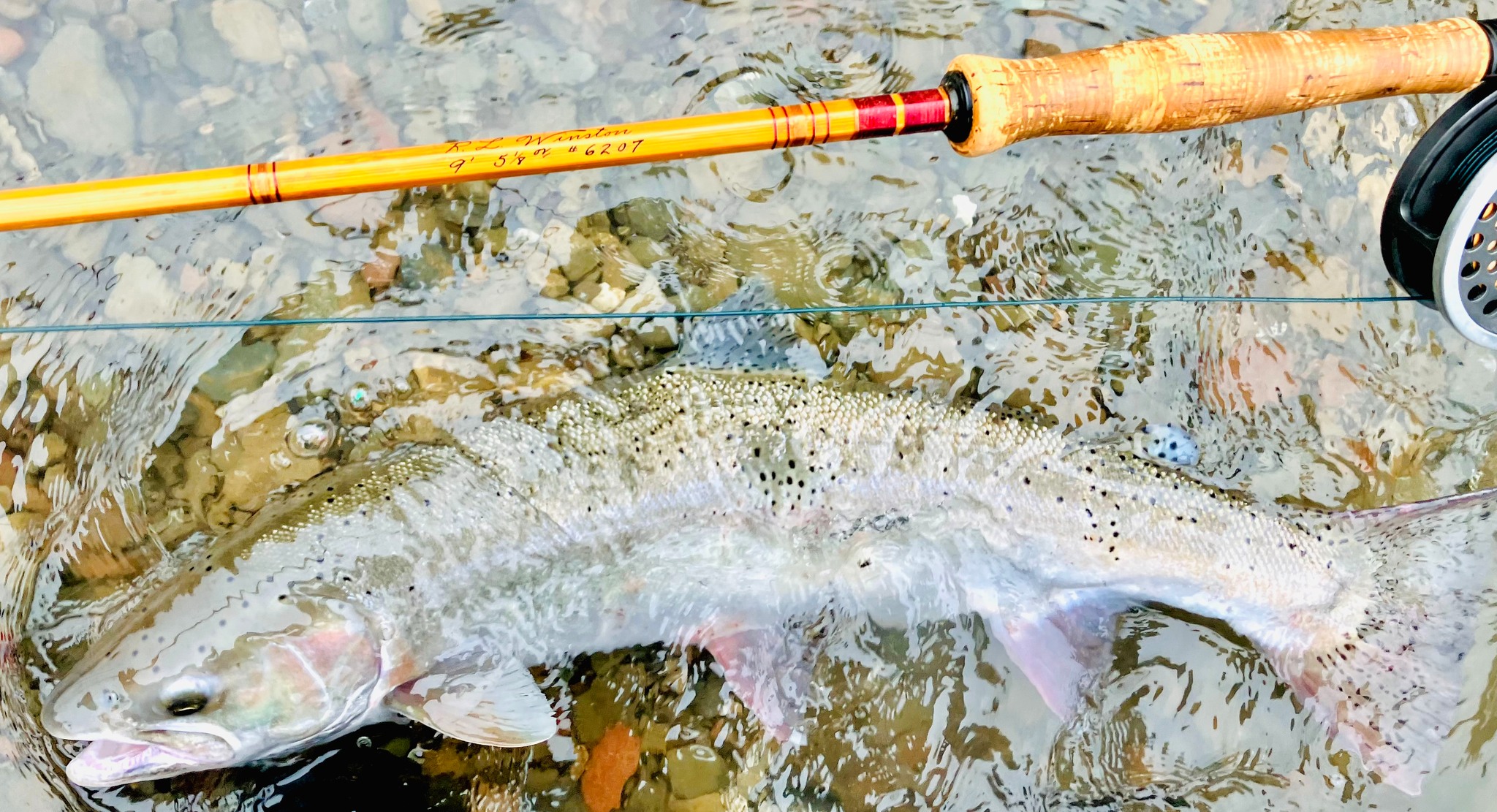 st croix fishing rod St. Connect Fly (5wt, 8ft 6in) Model:AMBC3-6500 (5.3:1 Gear Ratio - Right Hand) heddon Bass Pro Shops Barbie and a remarkable 10%